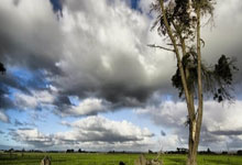 半岛体育网页版入口-罗马城上演胜利之夜兴奋不已的简单介绍