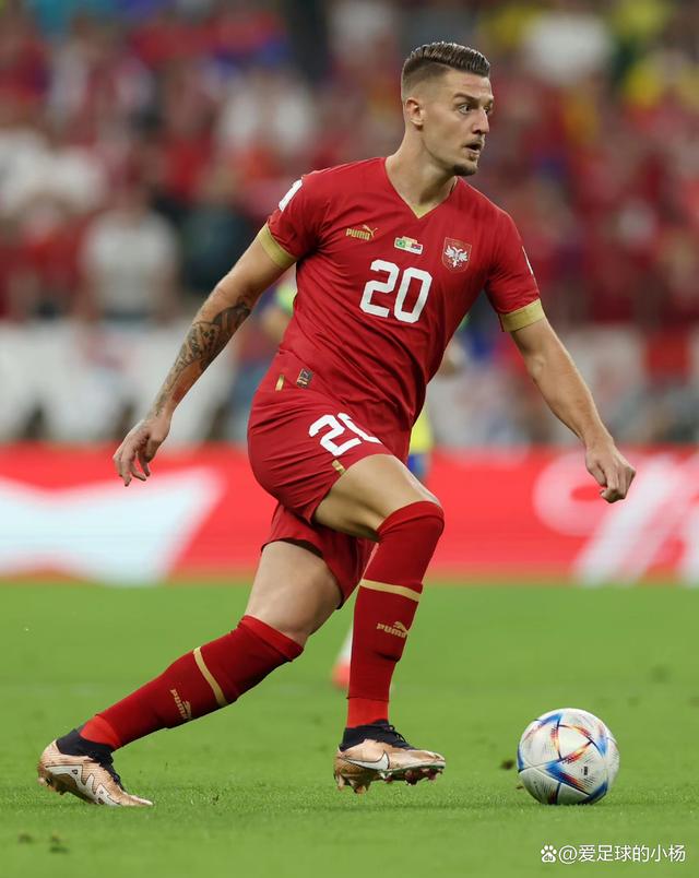 塞尔维亚队再次展现实力