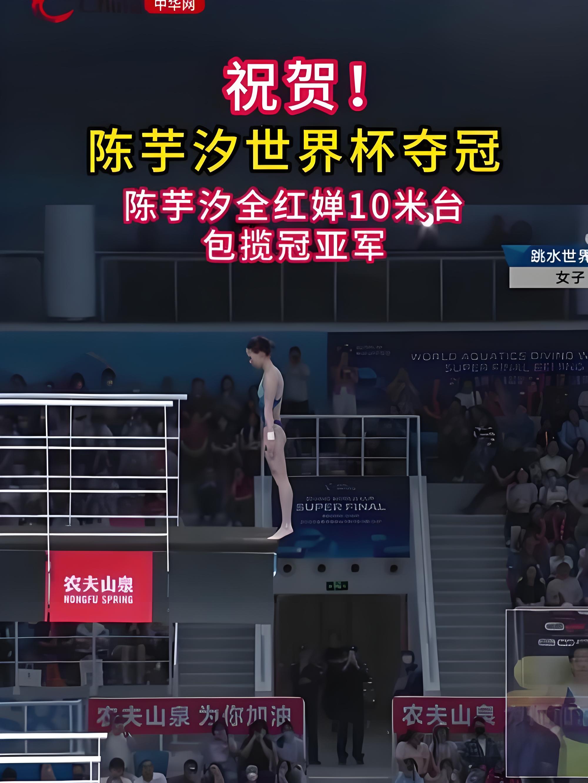 美国跳水选手再次斩获金牌，称霸赛场