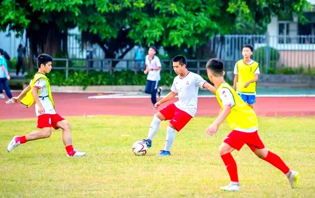 关于青年杯比赛将开启新一代球员崭露头角的信息